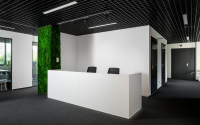 Projekt monochromatycznych przestrzeni biurowych minimalistyczną recepcją.